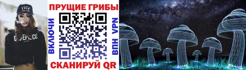 Купить где  Амурск  Псилоцибиновые грибы прущие грибы 